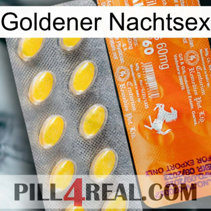 Golden Night Sex new05